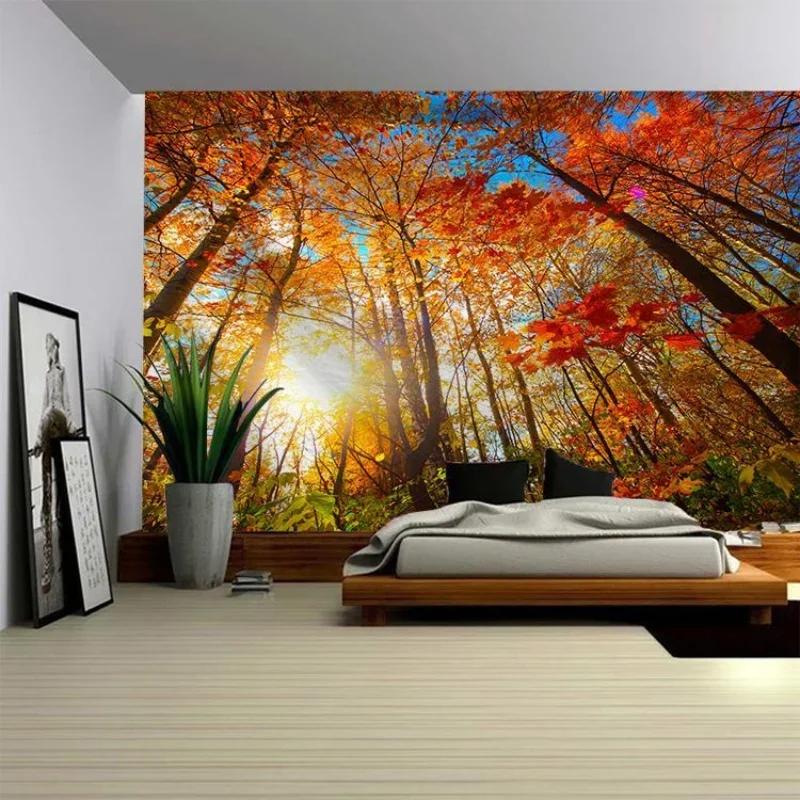 3D   ǽƮ  ڿ  ǽƮ, ޺ ..
