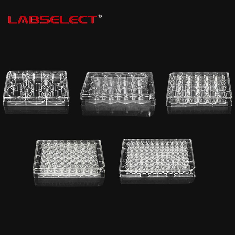 LABSELECT 5Pcs    6/12/24/48/96 Ȧ ׸..