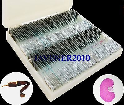 200Pcs    ̰ غ ̵  ǥ