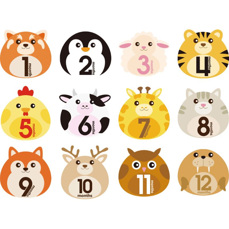  ù  ǥ     ƼĿ, 1-12 , ..